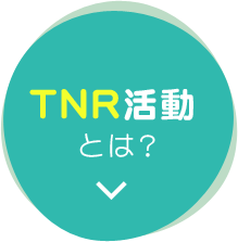 TNR活動とは？